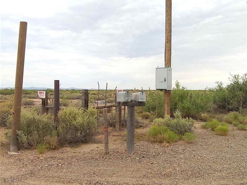 Farm Land for Sale in Deming, Farm for Sale in New Mexico, 212852