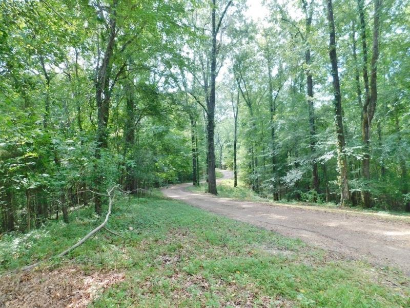 32.81 Acres Surveyed Land For Sale Farm for Sale in Natchez, Adams