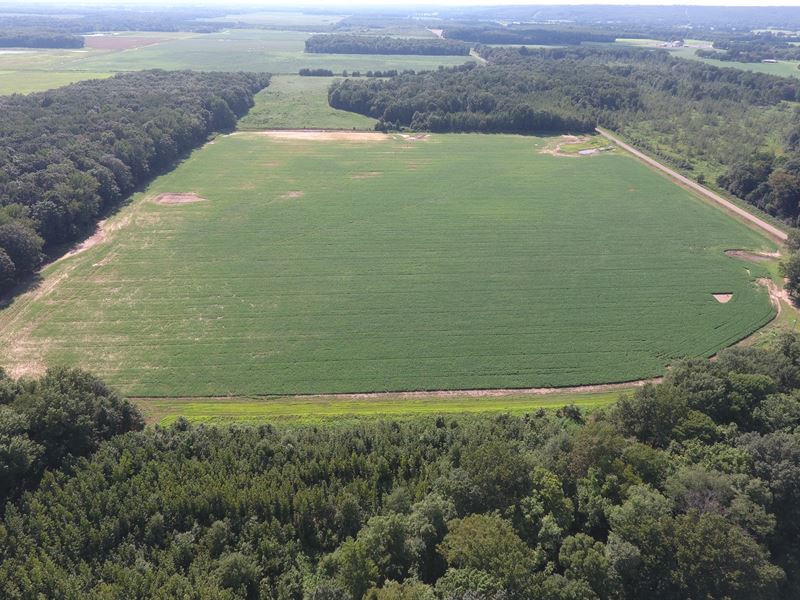 40 Acre Farm Big Deer Turkey Farm For Sale In Arkansas 213069 