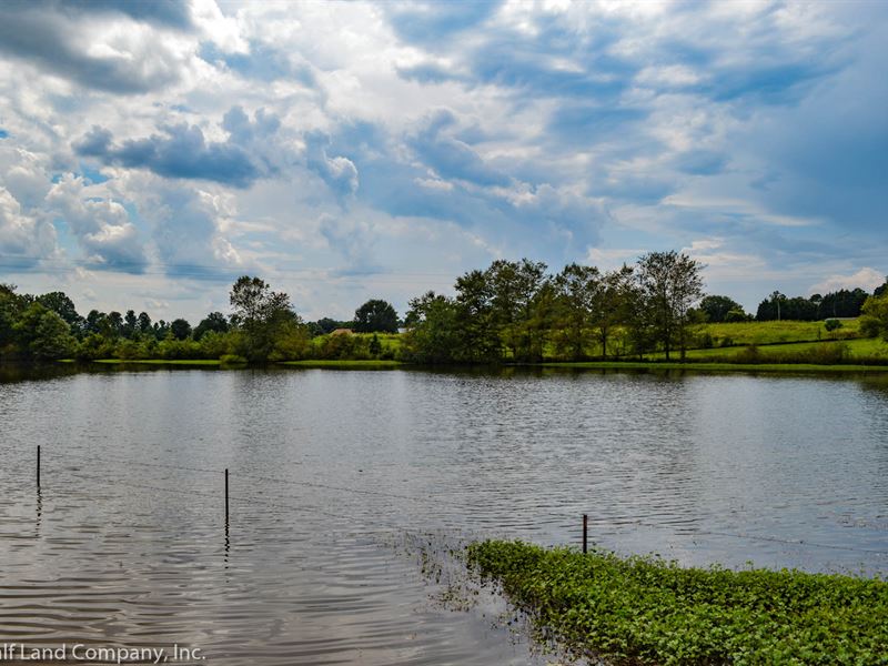 Private 27 Acre Horse Farm, Pond : Campobello : Spartanburg County : South Carolina