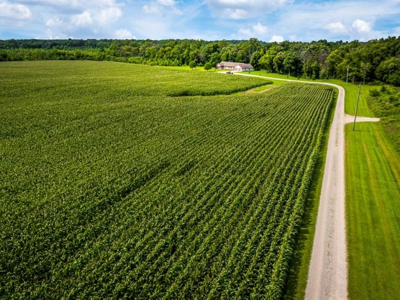 Acreage for Sale Selma, Indiana, Farm for Sale in Indiana, 213210