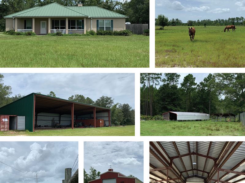 Old Starke Road Ranch : Palatka : Putnam County : Florida