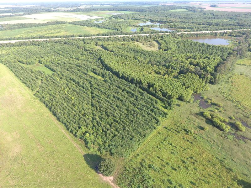 40 Acres Of Duck & Deer Hunting, Farm for Sale in Arkansas, 213307