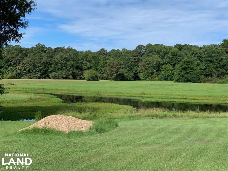 Hunting/Pasture Land Near Forest MS Farm for Sale in Forest, Scott