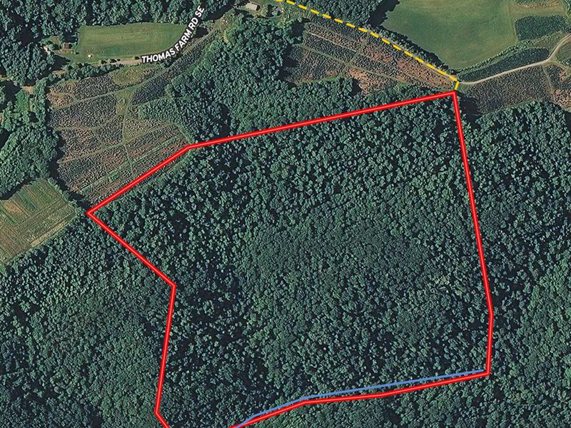 Large Tract Wooded Land Floyd VA : Floyd : Floyd County : Virginia