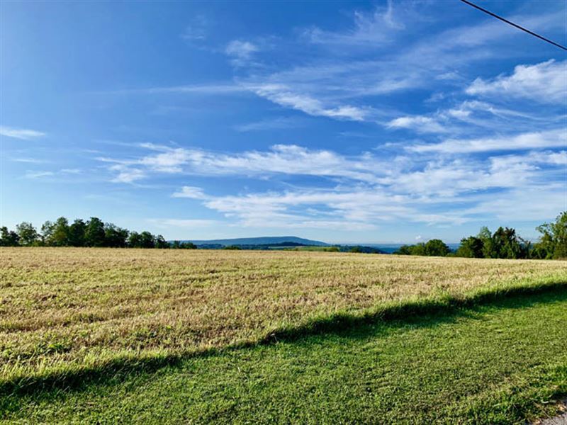 40 +/ Acres Land In Central School Farm for Sale in Bloomsburg