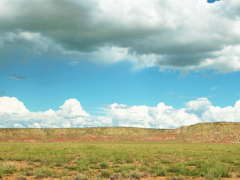 40 Acre Northwest Arizona Bargain : Seligman : Yavapai County : Arizona