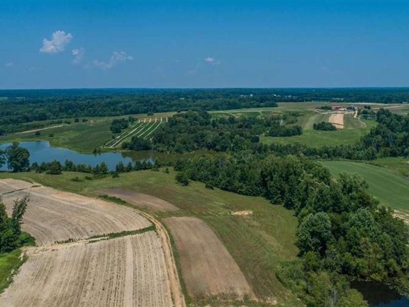 Over 600 Acres Farm Land Kerr Lake : Baskerville : Mecklenburg County : Virginia