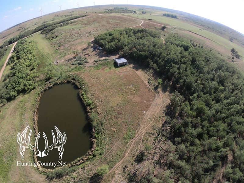 160Acres M/L, Woodward County : Vici : Woodward County : Oklahoma