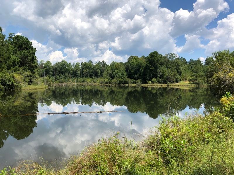 Crowder Tract : Allentown : Wilkinson County : Georgia