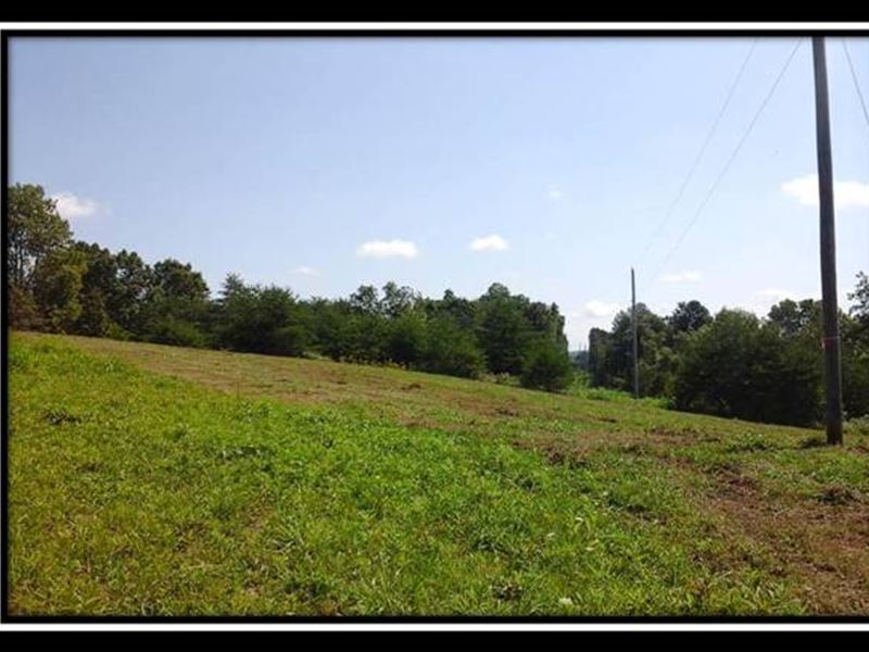 Beautiful Open Pasture and Woods : Corning : Perry County : Ohio