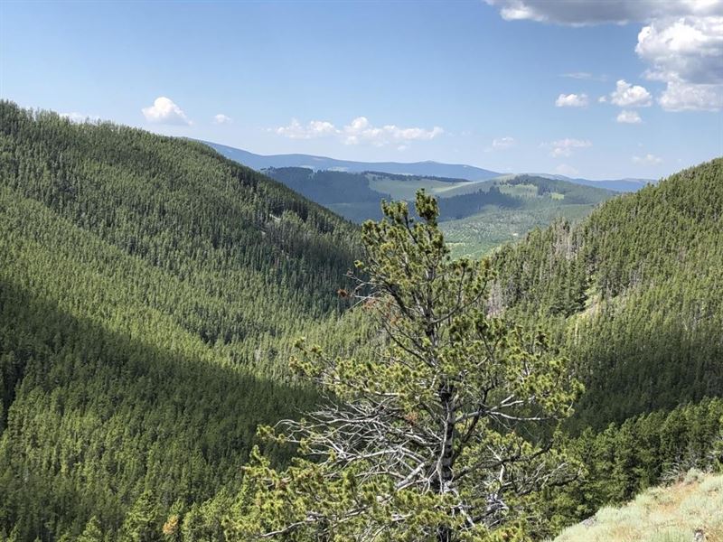 Mountain Seclusion : Neihart : Cascade County : Montana