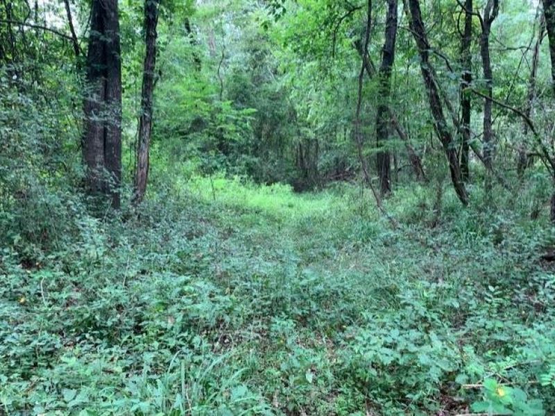 47.8 Acres in Jefferson County : Fayette : Jefferson County : Mississippi