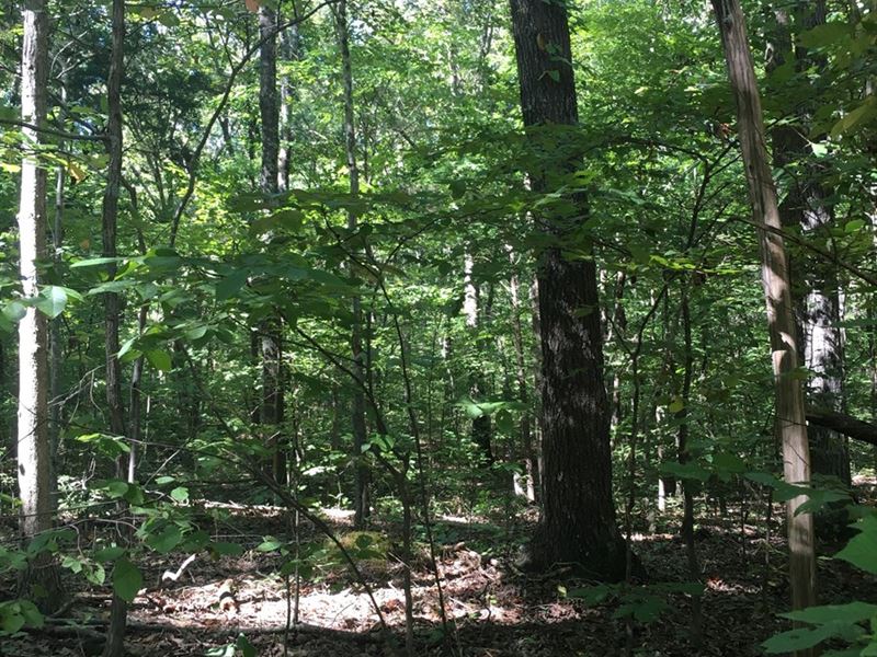 5 Acres for Sale in Tennessee : Lyles : Hickman County : Tennessee