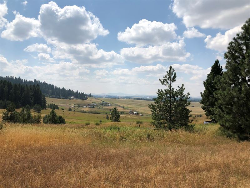 North Idaho Acreage Close to Coeur : Worley : Kootenai County : Idaho