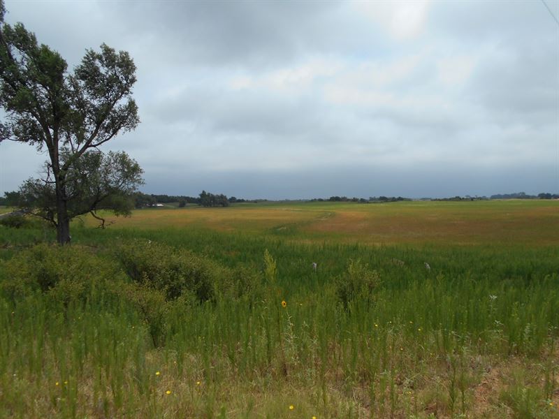 70 Acres M/L Woods County Oklahoma : Carmen : Woods County : Oklahoma