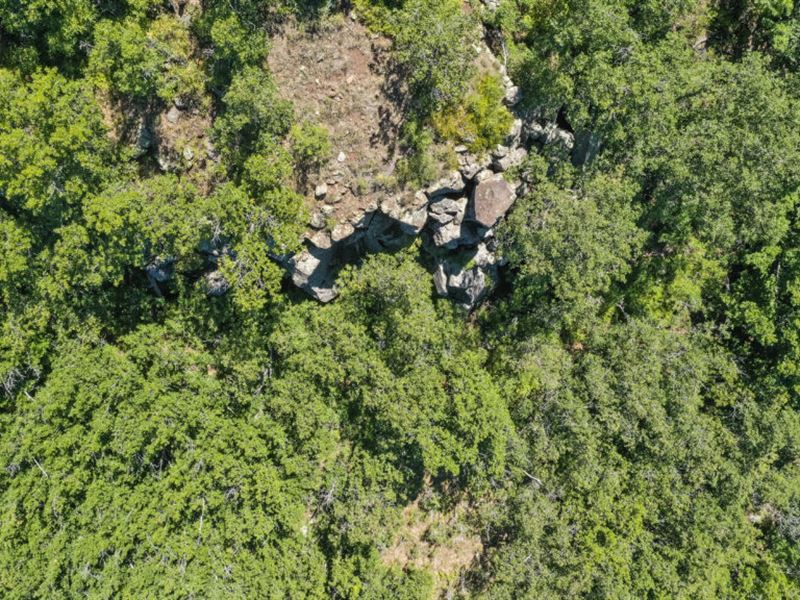 Development Land, Biggest Trees : Mayer : Yavapai County : Arizona