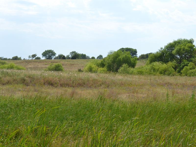 Dueling Ponds 476 : Norwich : Kingman County : Kansas