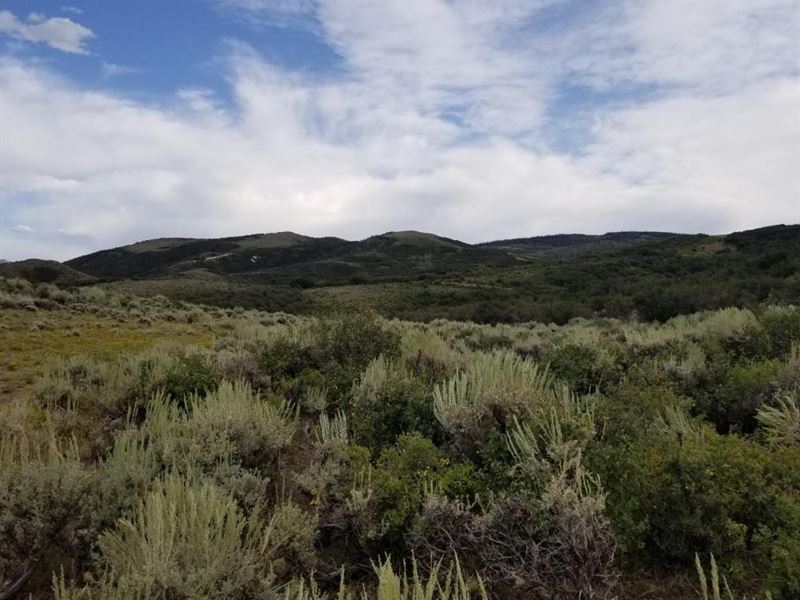 Jack Creek Ranch : Craig : Moffat County : Colorado