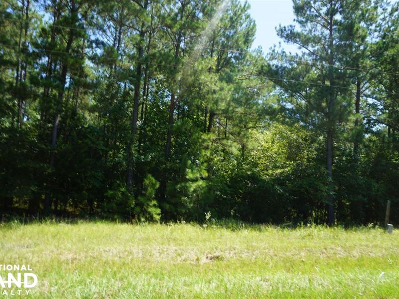 Freedom Farm Road Tract : Pine Apple : Wilcox County : Alabama