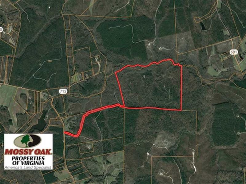 176 Acres of Hunting and Timber LA : Blackstone : Dinwiddie County : Virginia