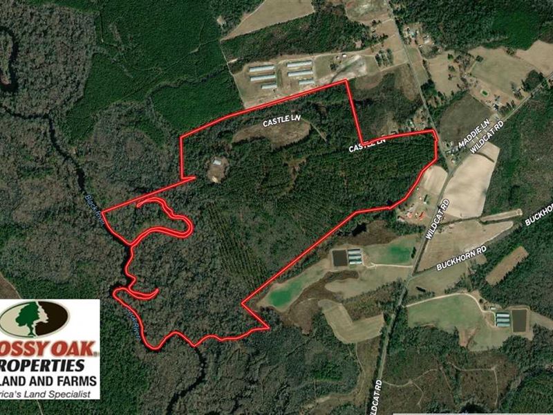 265 Acres of Prime : Harrells : Sampson County : North Carolina
