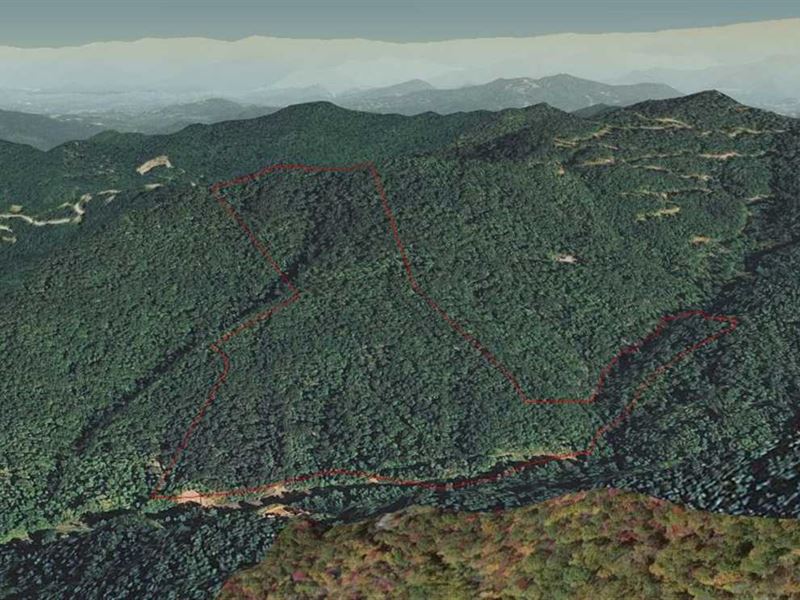 84 Acres on Brush Creek in Beau : Bryson City : Swain County : North Carolina