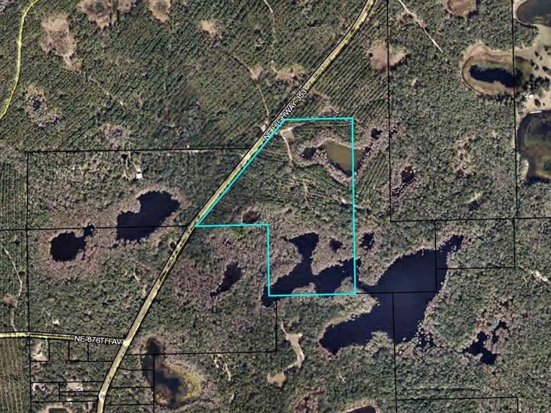 46.33 Acres Old Town, Fl, Dixie : Old Town : Dixie County : Florida