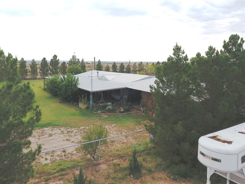 Large Horse Property Artesia New : Artesia : Eddy County : New Mexico