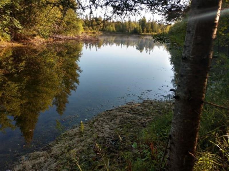 140 Acres with Pond in Atlanta MI : Atlanta : Montmorency County : Michigan