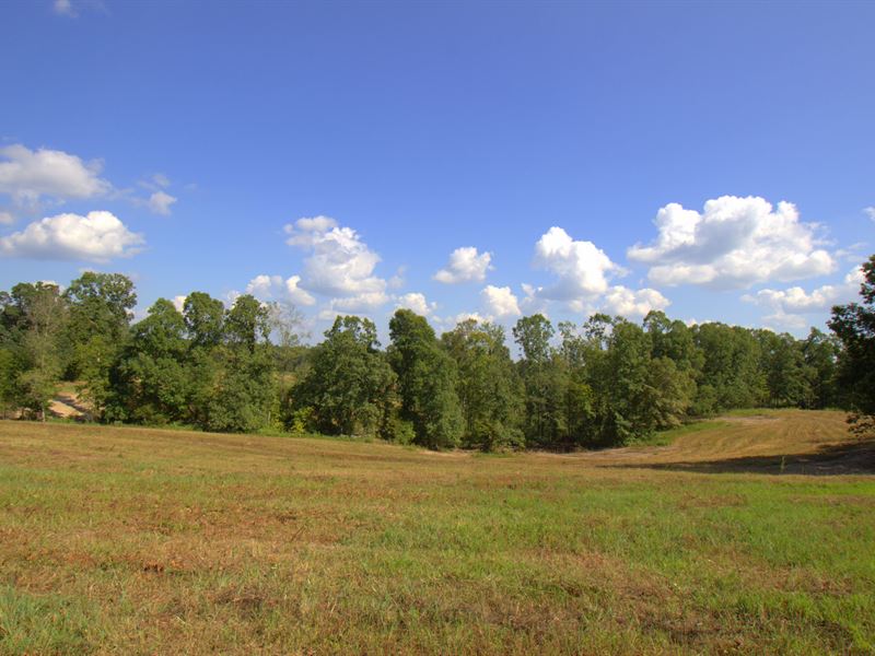 Great 83 Acre Tract : Slayden : Dickson County : Tennessee
