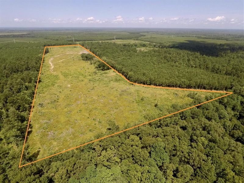 41 Acres Calhoun Co, Hampton, Farm for Sale by Owner in Arkansas