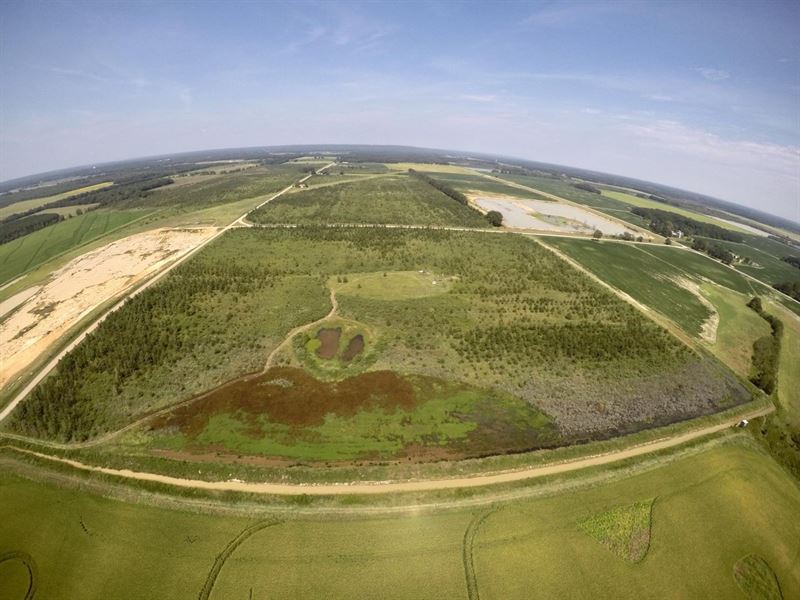 BK Refuge, Crp Tract : Bald Knob : White County : Arkansas