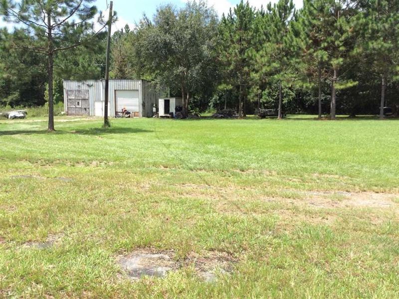 North Boggy Creek Tract, Beauregard : Ragley : Beauregard Parish : Louisiana