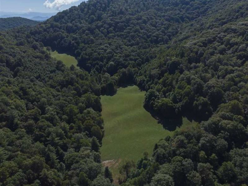 Truly a Once in a Lifetime Find : Robbinsville : Graham County : North Carolina
