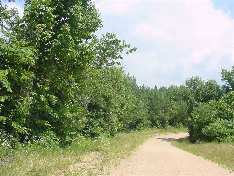 Tennessee Timber Land Wayne County : Waynesboro : Wayne County : Tennessee