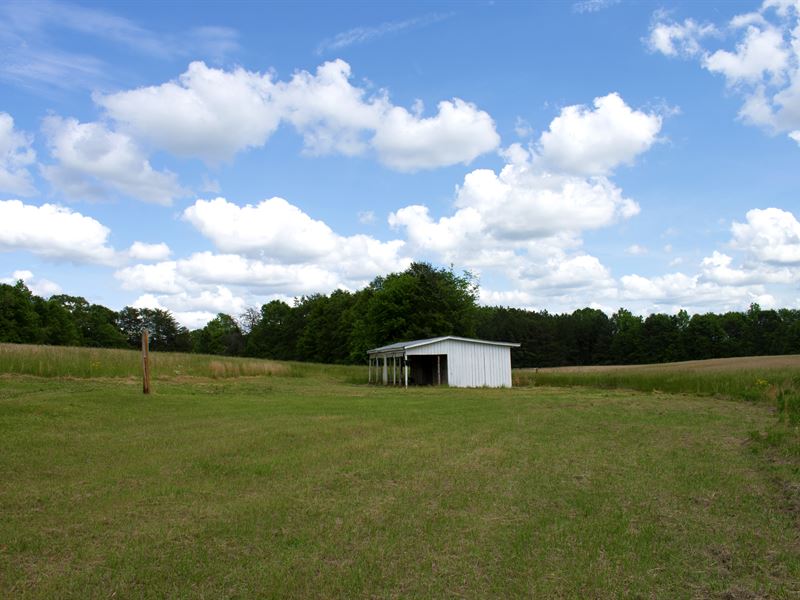 McDaniel Homestead / Development : Easley : Pickens County : South Carolina