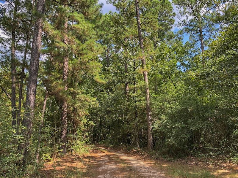 1/10th Interest Lost Indian Lake : Huntsville : Walker County : Texas