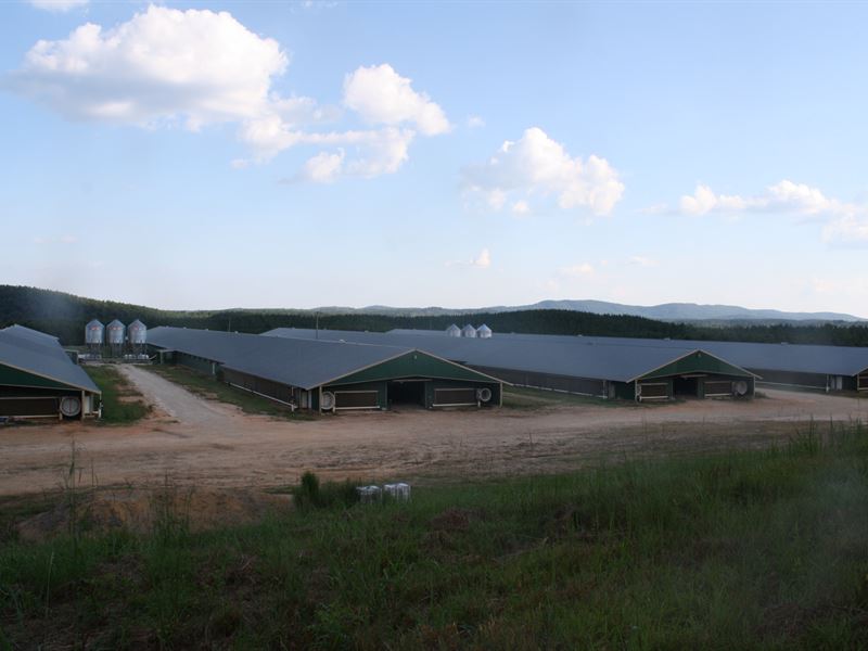 4 Mega House Poultry Farm, 35 Ac, Farm for Sale in Alabama, 214284