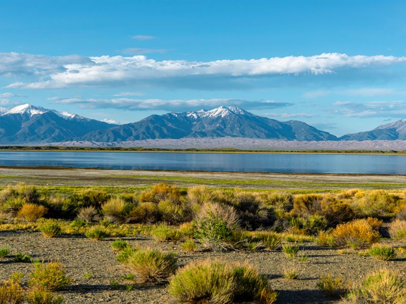 Acreage with Power & Mountain Views : Alamosa : Alamosa County : Colorado