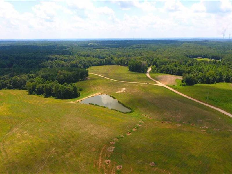 Beautiful 336 Acre Farm with 4 Pon : Indian Mound : Montgomery County : Tennessee