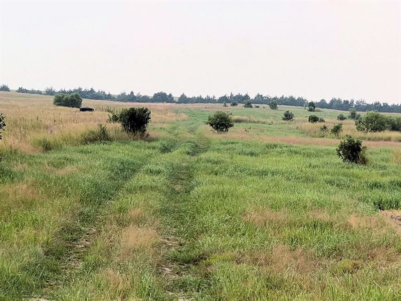160.06 Acres, More or Less, Tract : Neligh : Antelope County : Nebraska