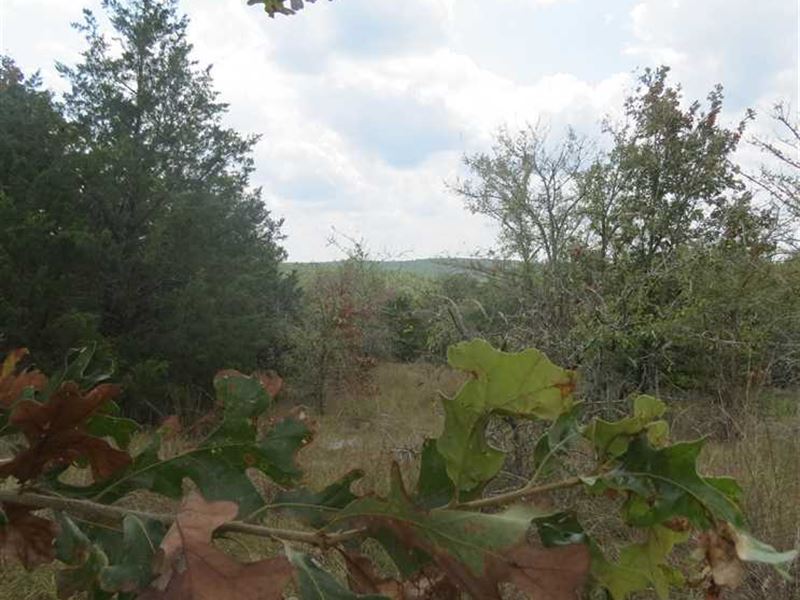 Secluded Recreational Hunting Site : Rattan : Pushmataha County : Oklahoma
