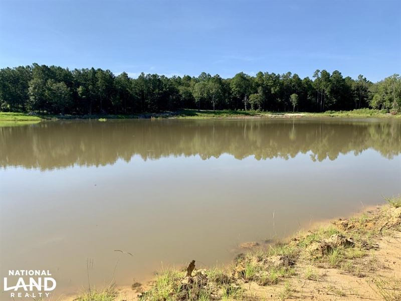 The Chunchula Lake Timber & Hunting : Chunchula : Mobile County : Alabama