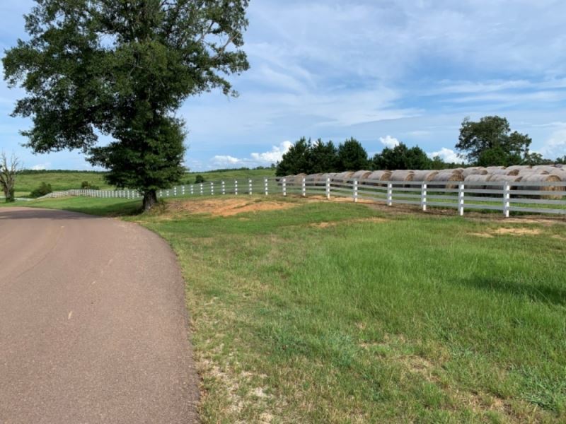 800 Acres in Lafayette County in Et : Etta : Lafayette County : Mississippi
