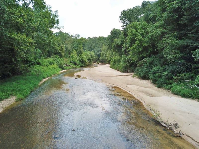 Hardwood Hunting Tract On Buffalo : Centreville : Wilkinson County : Mississippi