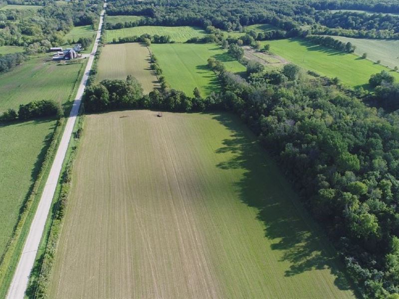 Wisconsin Organic Farm Dodge County : Mayville : Dodge County : Wisconsin