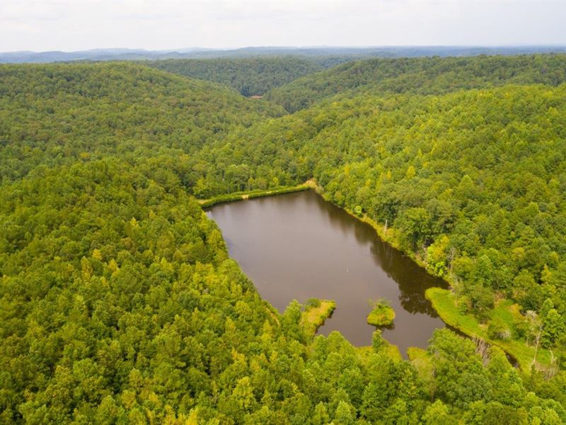 Pine Mountain Lake and Timber : Locust Fork : Blount County : Alabama