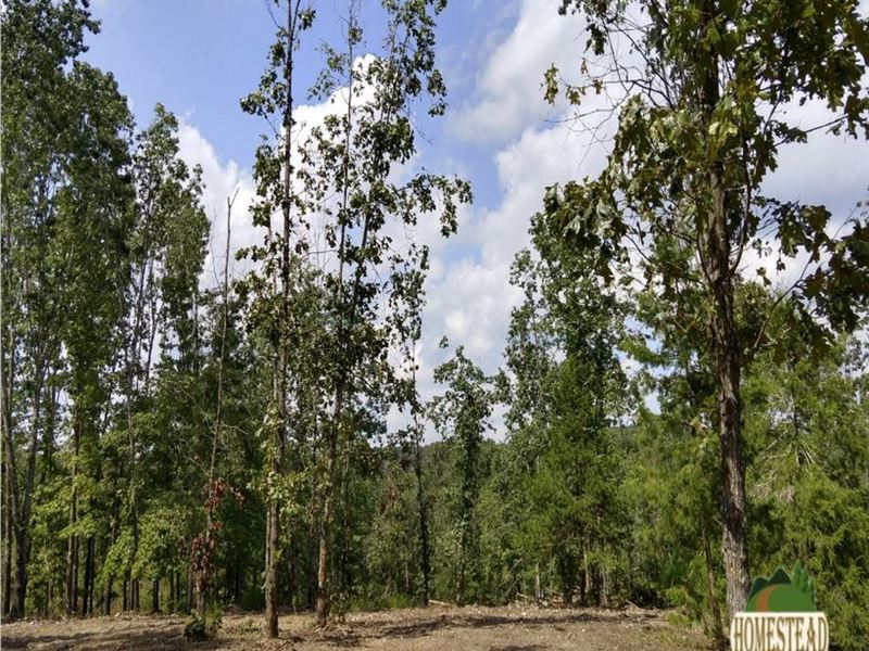 Private Retreat, Building Site : Montier : Shannon County : Missouri