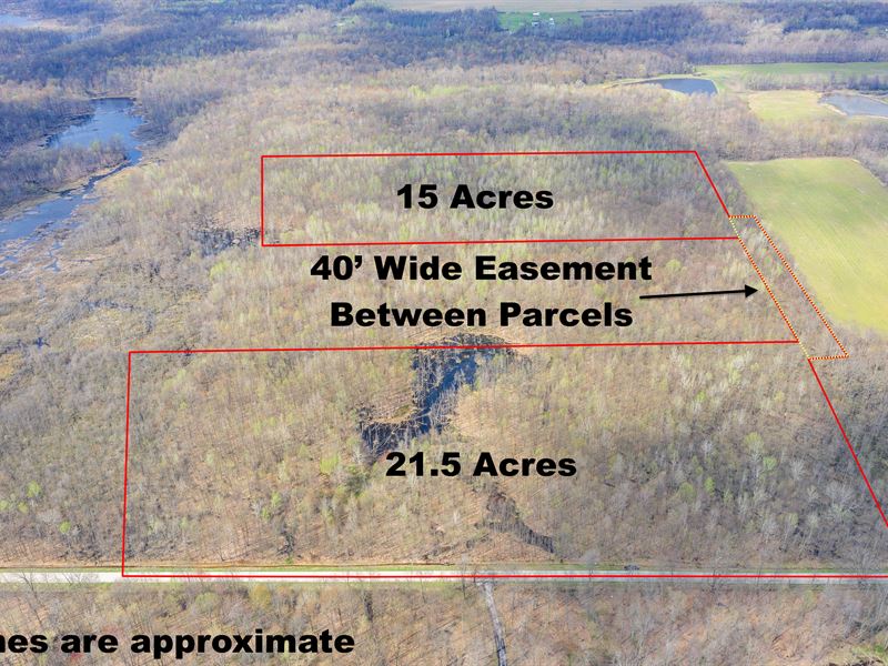 Windsor Rd, 36 Acres : Andover : Ashtabula County : Ohio